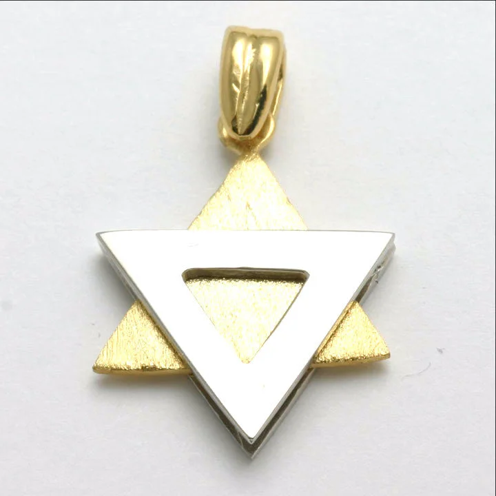 14k Yellow and White Gold Jewish Star of David Pendant Modern Matte